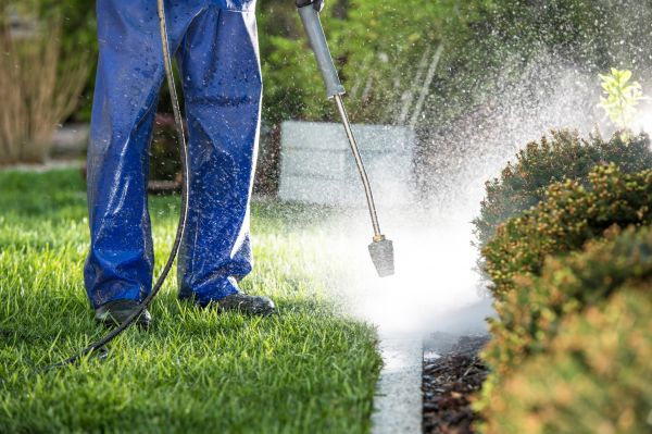 Cost of Curb Cleaning in Melbourne