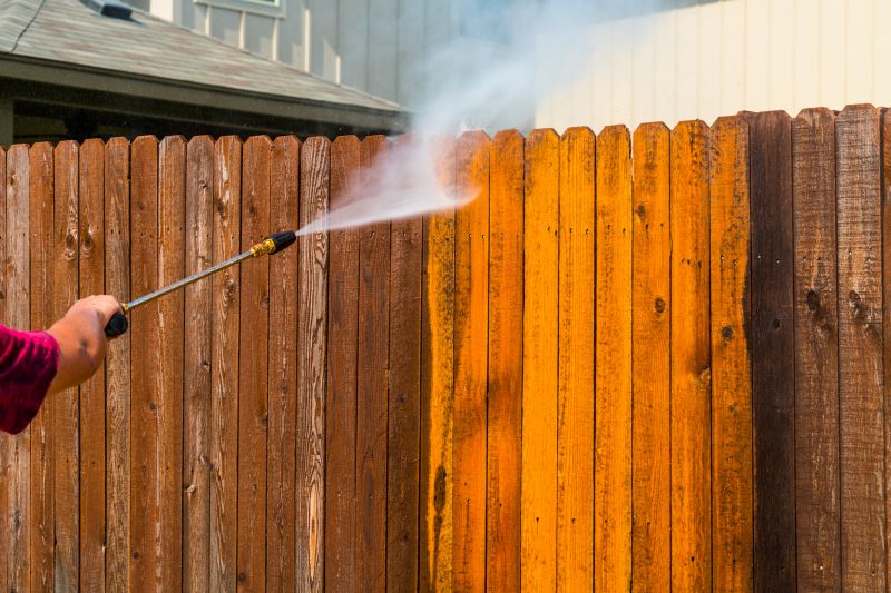 Fence Cleaning Services